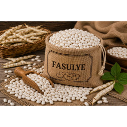 Fasulye Fasulye