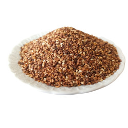 Küncü Küncü